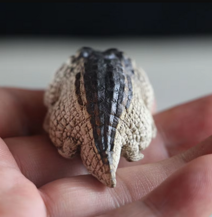 Little Crocodile Ornament